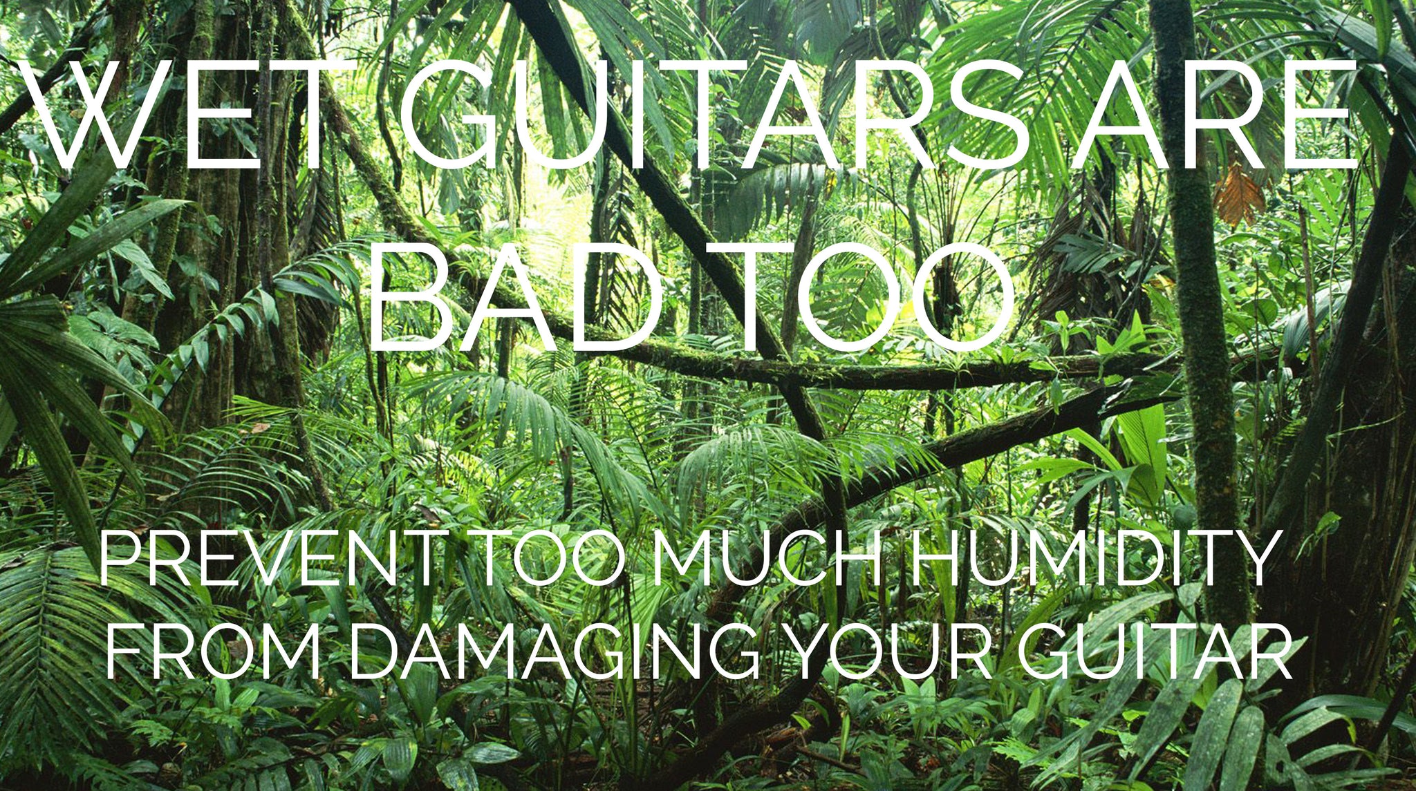 Wet Guitars Are Bad Too!